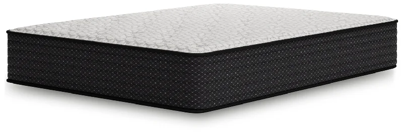 Limited Edition Plush Twin XL Mattress