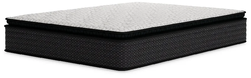 Limited Edition PT Queen Mattress